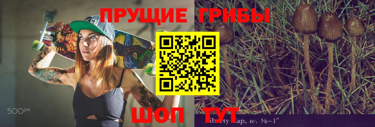 Галлюциногенные грибы Psilocybe Семилуки